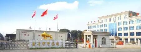 南阳金牛彩印集团有限公司